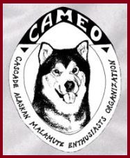 CAMEOLogo